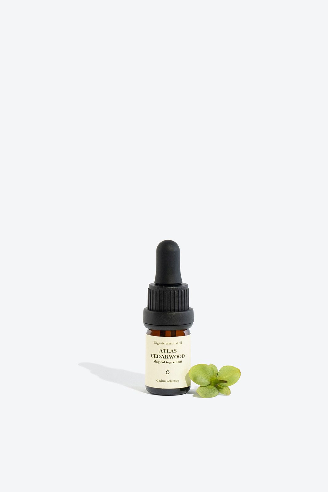 ATLAS-CEDARWOOD_3.jpg ATLAS CEDARWOOD Essential Oil - Image 1