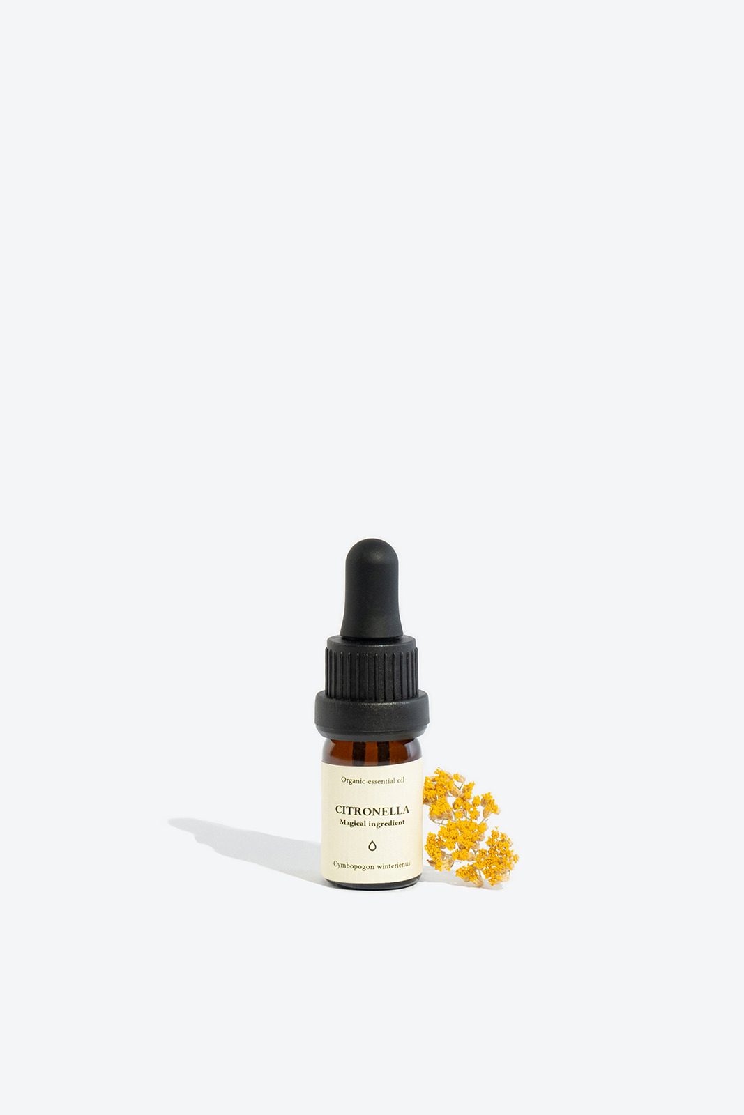 CITRONELLA_3.jpg CITRONELLA Essential Oil - Image 1